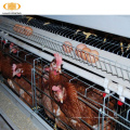 Multi-Tiers Chicken Poultry Farm Battery Poulet Couche Cage